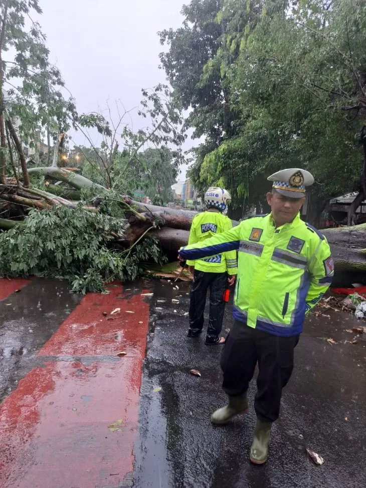 Petugas Polantas membantu melakukan evakuasi terhadap pohon tumbang di Jalan Kunir Pinangsia, Jakarta Barat, pada Jumat sore. (Foto: X.com @TMCPoldaMetro)