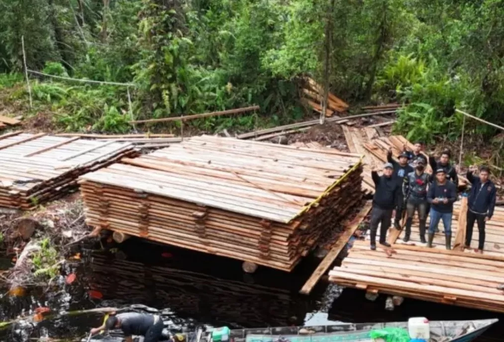 Petugas gabungan menyita ratusan meter kubik kayu ilegal di Indragiri Hulu. (Kementerian LH)