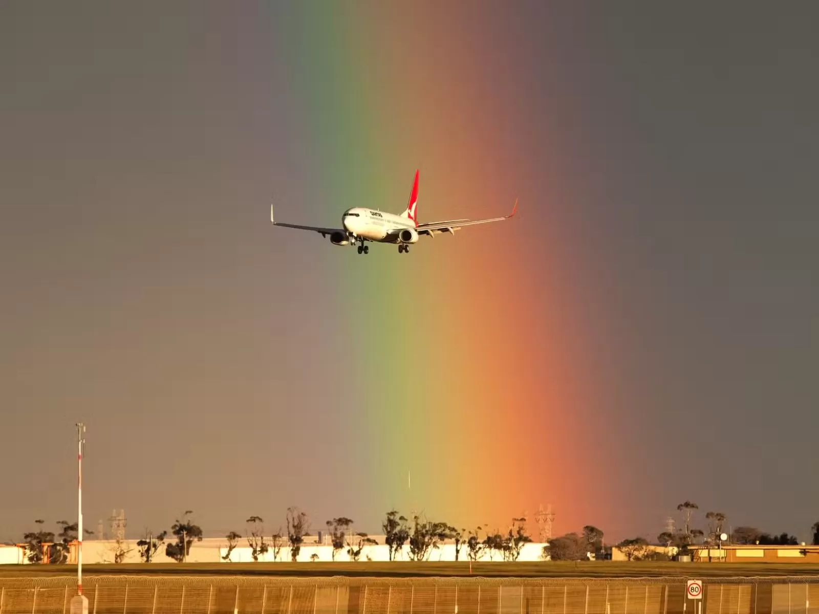Ilustrasi Boeing 737 milik Qantas. (Shutterstock)