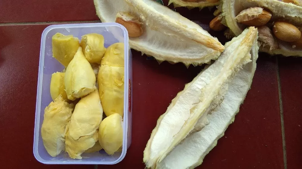 Durian bawor dari Banyumas merupakan satu di antara varietas unggulan Indonesia untuk ekspor ke China. (Visit Jawa Tengah)