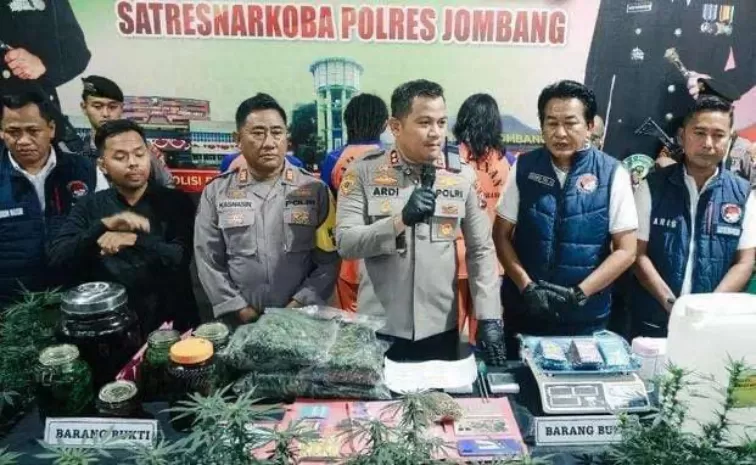 Gelar barbuk kebun ganja di Jombang. (Istimewa)