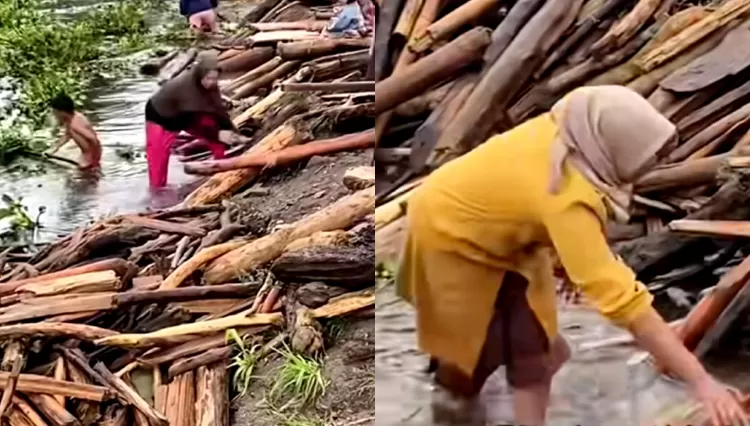Warga Takengon mengumpulkan kayu hanyut di sungai untuk bahan bakar. (Instagram/masjidnurulashri)