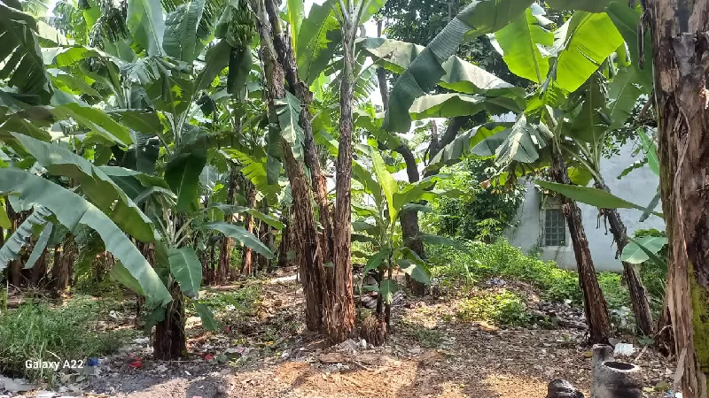 Tanah koruptor dana Bank BJB berhasil dilelanh BPA Kejagung