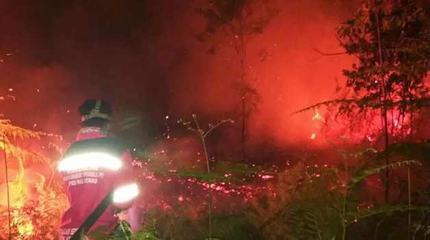 PEMADAMAN: Aparat TNI/Polri dan BPBD Berau, Posko Tanjung Batu, berjibaku memadamkan si jago merah di lahan kosong di Km 02 Kampung Tanjung Batu, Kecamatan Pulau Derawan.