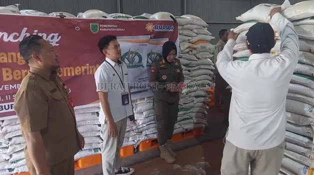 PASTIKAN AMAN: Jajaran Dinas Pangan Berau saat memastikan kondisi beras di gudang Bulog yang akan didistribusikan ke KPM.