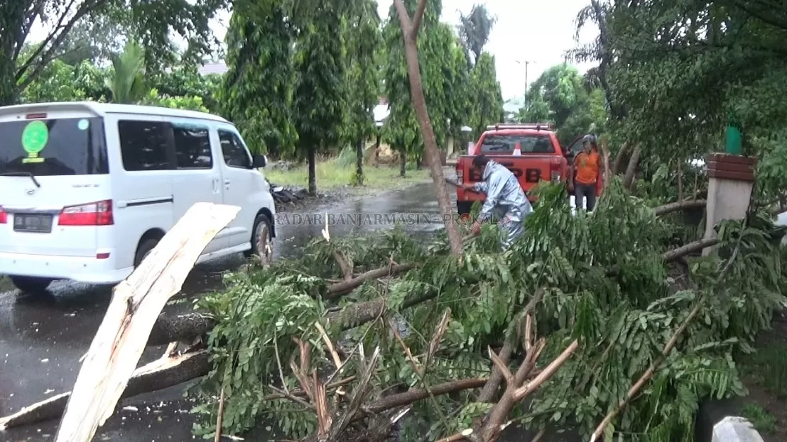 BERSIHKAN: Pohon di kabupaten HSS tumbang karena hujan disertai angin kencang.