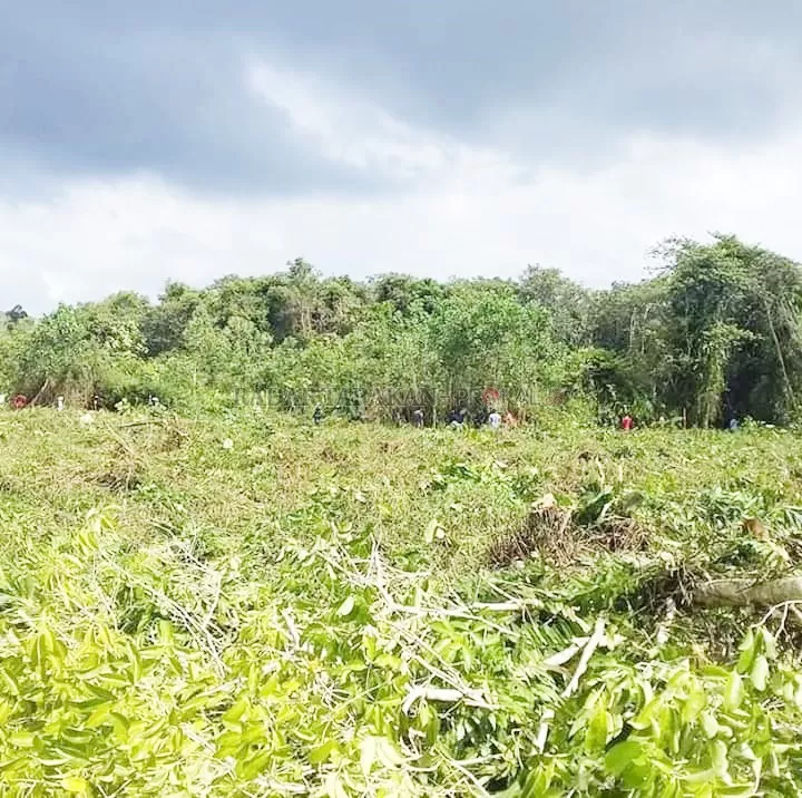 SIAP DIGUNAKAN: Lahan yang direncanakan menjadi pembangunan Gedung SMA Negeri 1 Tanjung Palas Tengah.