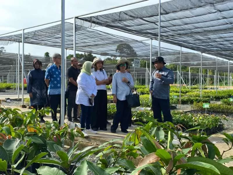 Delegasi UNESCAP, UNDP, UNRCO, ADB dan UCLG mengunjungi sejumlah lokasi di IKN, salah satunya Persemaian Mentawir, pada Minggu (17/12) kemarin. Kunjungan ini dalam rangka meninjau pembangunan yang selaras dengan visi pembangunan berkelanjutan atau SDGs ( Sustainable Development Goals).    (Foto : Erik Alfian/Prokal.co)