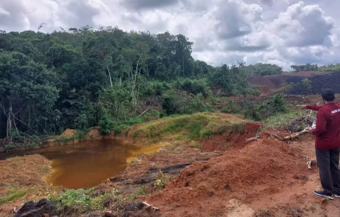 Galian tambang batubara di Desa Sumbersari Loa Kulu Kukar pada bulan  Januari 2023.