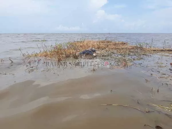 BIKIN GEGER: Mayat tanpa identitas yang mengapung di Pantai Desa Kampung Tengah, Jumat (17/1). (POLRES KATINGAN FOR RADAR SAMPIT)