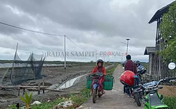 PERIKANAN : Salah seorang petani tambak di daerah Sungai Tatah, Kelurahan Kuala Pembuang II, Kecamatan Seruyan Hilir, Kabupaten Seruyan mengangkut hasil panen ikan.( ALDI SETIAWAN/RADAR SAMPIT)