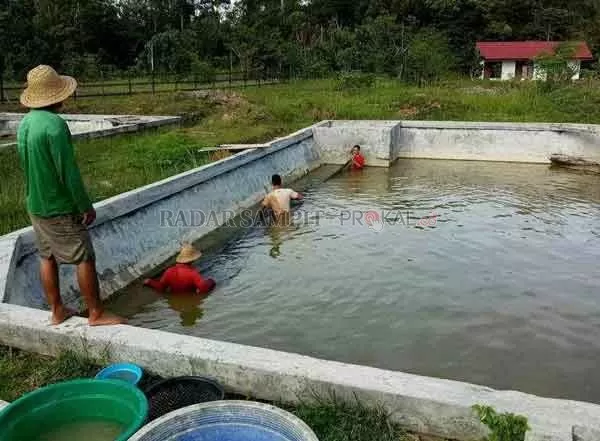 KAWASAN : Kepala DPKP Kabupaten Gumas Letus Guntur (ujung kiri) bersama para pegawai ketika berada di kawasan budidaya perikanan, belum lama ini. (LETUS GUNTUR FOR RADAR SAMPIT)