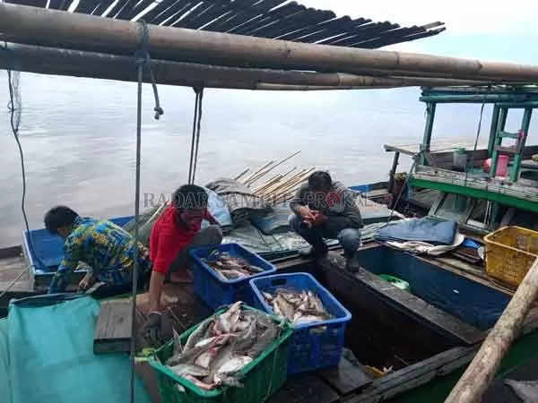 TERPURUK: Sejumlah nelayan saat melakukan aktivitas bongkar buat di Pelabuhan Perikanan Kuala Pembuang.(ALDI SETIAWAN/RADAR SAMPIT)
