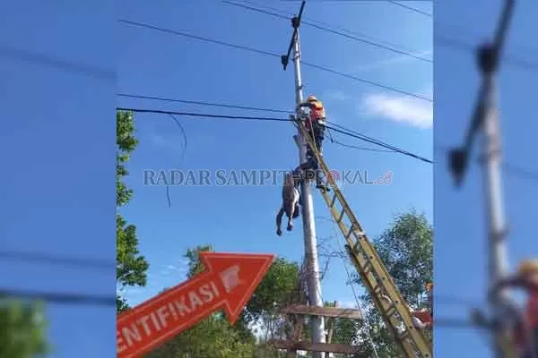KESETRUM LISTRIK : Jenazah Sigit Sutrisno saat dievakuasi di lokasi kejadian. Kepolisian memastikan almarhum meninggal dunia karena kesetrum aliran listrik.(DODI/RADAR PALANGKA)