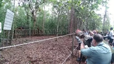 PARIWISATA : Pemerintah diharapkan tidak tergesa-gesa membuka destinasi wisata tanpa melibatkan para pelaku wisata. Karena keselamatan masyarakat tetap menjadi yang utama. (SLAMET HARMOKO/RADAR PANGKALAN BUN)
