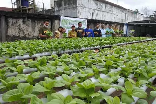 Petani Hidroponik Sampit (PHS) siap tampil dalam bazar yang digelar di halaman Radar Sampit, Minggu (9/8) pukul 06.00 WIB.