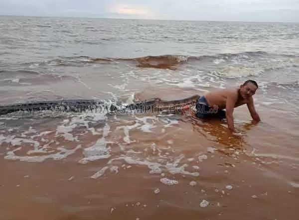 SENSASI : Mustafa saat berfoto seolah-olah ditarik oleh buaya yang ternyata adalah buaya mati. Lokasi diambilnya dokumentasi tersebut diketahui berada di Sungai Baru, Desa Sungai Cabang, Kecamatan Kumai, Kabupaten Kobar, Minggu (24/1).(ISTIMEWA)