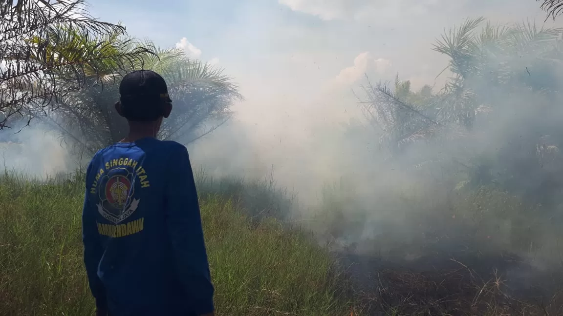 KEBAKARAN LAHAN : Satgas Darat Karhutla Kabupaten Kotawaringin Barat (Kobar) saat berupaya memadamkan kebakaran lahan di Desa Kumpai Batu Bawah, Kecamatan Arsel, Kabupaten Kobar, Rabu (10/2). (BPBD/RADAR PANGKALAN BUN)