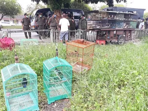 TINDAKAN TEGAS : Petugas Satpol PP Kota Palangka Raya saat  menertibkan hingga membongkar lapak PKL di kawasan Jalan Tjilik Riwut Palangka Raya, kemarin. Sebelumnya para pedagang tersebut juga sudah diperingatkan agar tidak berjualan di lokasi yang dilarang pemerintah kota.( DODI RADAR PALANGKA)