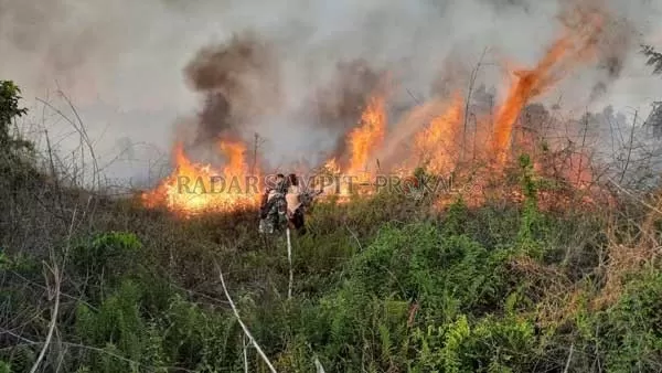 KARHUTLA : Tim gabungan Karhutla Kabupaten Lamandau berjibaku memadamkan api yang membakar semak belukar yang terjadi di Alun-Alun Bundaran Trans E, Jumat (26/2) sore pukul 16.00 WIB. (mex).( IST/RADAR SAMPIT)