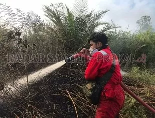PENDINGINAN : Anggota Satgas Karhutla Kobar menyemprotkan air ke kawasan lahan gambut untuk mematikan bara api di lapisan bawah. (ISTIMEWA/RADAR PANGKALAN BUN)