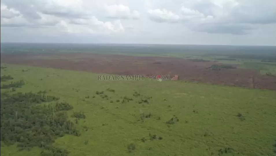 PADAM : Kawasan terbakar di jalur Pangkalan Bun – Kotawaringin Lama telah padam. Satgas terbantu dengan turunnya hujan saat pemadaman wilayah tersebut. (ISTIMEWA/RADAR PANGKALAN BUN)