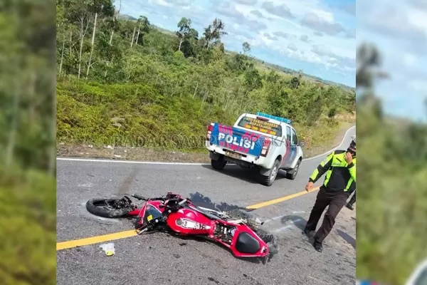 OLAH TKP : Lokasi kejadian kecelakaan di ruas Jalan Kuala Kurun-Tewah sekitar kilometer 9 antara sepeda motor CBR 150 dengan sebuah pikap di sebuah tikungan , Selasa (23/3).(istimewa)