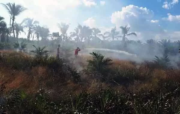 KEBAKARAN LAHAN GAMBUT: Satgas darat saat berupaya melakukan upaya pemadaman kebakaran di Desa Kumpai Batu Bawah, Kecamatan Arsel, Kabupaten Kobar, Sabtu (1/5).(BPBD KOBAR/RADAR PANGKALAN BUN)