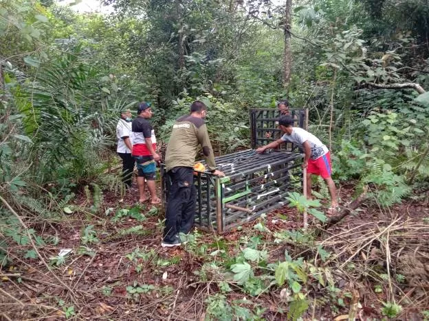 TEROR BERUANG:  Petugas BKSDA Kalteng dibantu warga sedang memasang perangkap Beruang. Lebih dari dua bulan ini warga Desa Sungai Pakit dibuat resah dengan kemunculan Beruang di permukiman mereka. (SUPRI/RADAR PANGKALAN BUN)