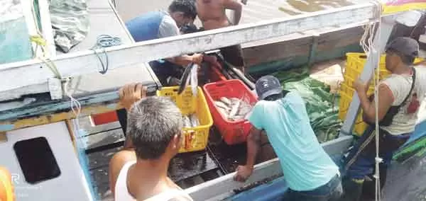 HASIL LAUT: Aktivitas bongkar muat hasil tangkapan nelayan Kumai di Pangkalan Pendaratan Ikan (PPI) Kumai, Kecamatan Kumai, Kabupaten Kotawaringin Barat, Senin (31/5).(ISTIMEWA/RADAR PANGKALAN BUN)