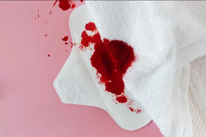 https;www.pexeles.com/id-id/foto/darah-periode-haid-pembalut-7691783/