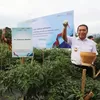 Tingkat Pengangguran Provinsi Banten Terus Menurun, Pj Gubernur: Kita Bersama Menyelesaikan Ini