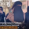 Dikecamnya Peraturan Taliban yang Melarang Perempuan Afghanistan Mengenyam Bangku Kuliah