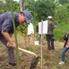 Cegah Banjir Di Meteseh Tembalang, Undip Tanam 7.500 Pohon Randu di Ungaran