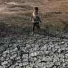 Bencana El Nino Tahun 2023 Diperkirakan Bakal Seperti Tahun 2019
