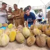 Hey, Durian Lovers, Ayo ke Gempolan !! Ada Festival Durian Lho, 6-9 Februari Ini