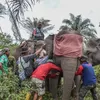 Gajah Liar di Provinsi Riau Dipasangkan GPS 