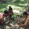 4 Alasan Orang Rimba tak Bisa Dipisahkan dengan Hutan