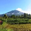 10 Gunung Tertinggi di Indonesia, 1 Gunung Masuk 7 Puncak Tertinggi Dunia...