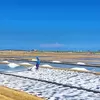 Potensi Ekonomi Garam Indonesia Capai Rp4,14 T