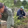 Saat Hutan Lindung di Sumatera Dibayangi Sabotase: TN Tesso Nilo Temukan Ranjau Paku yang Bertebaran di Area Jalan Gajah