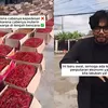 Soroti Hasil Panen Cabe yang Melimpah usai Bencana di Aceh, Ferry Irwandi: Nangis karena Muterin Ekonomi Warga