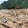 Pemerintah Beri Izin  Warga Manfaatkan Kayu Banjir di Sumatra, Ini Syaratnya