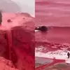 Viral Pantai di Iran Berubah Merah Darah Pascahujan Deras Bikin Dunia Tercengang, Fenomena Apa?