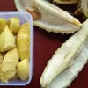 Pasar Durian China Bernilai Rp117 Triliun, Indonesia Bidik Pangsa 5–10 Persen