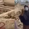 Viral Evakuasi Kayu Gelondongan Bikin Warga Aceh Tamiang Murka: Jangan yang Bernomor Saja Diangkat!