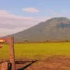 Taman Nasional Baluran: Pesona “Afrika van Java” di Ujung Timur Jawa