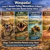 Waspada! Inilah 5 Hewan Paling Mematikan di Dunia Hingga Satu Juta Nyawa Setiap Tahun