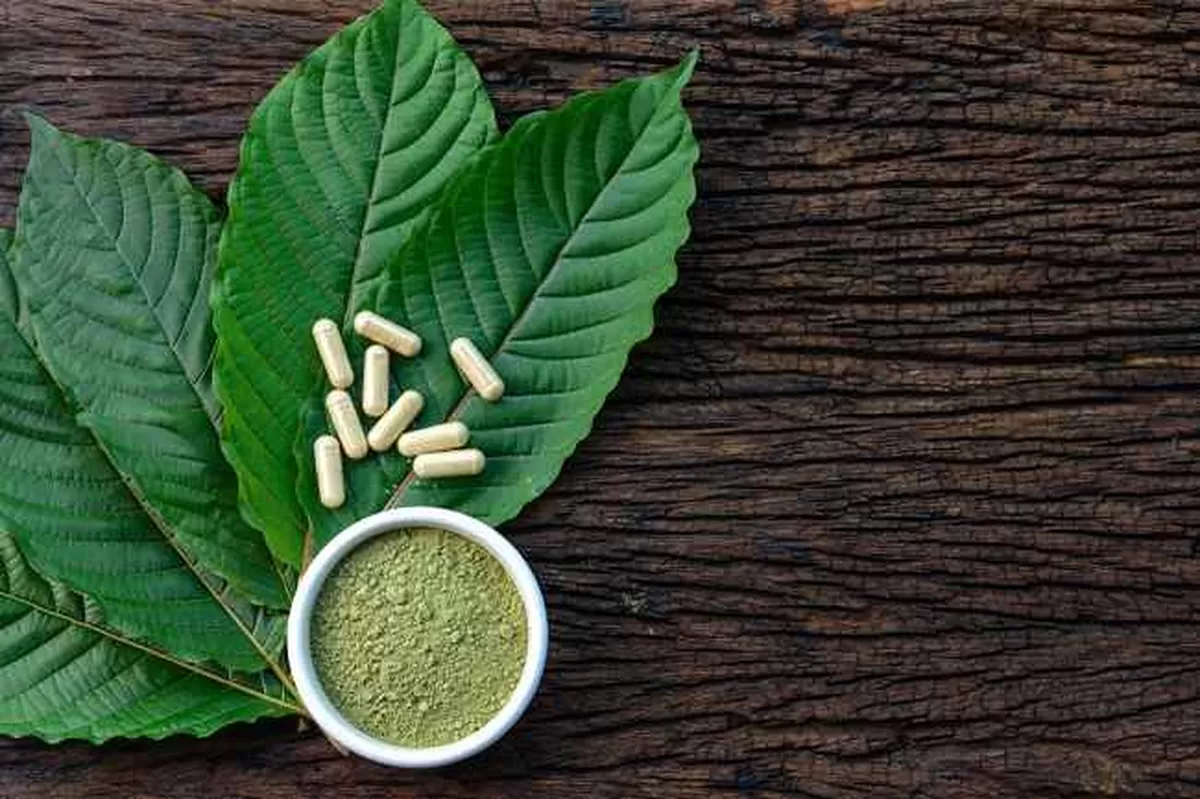 Daun Kratom (Dok Alodokter)