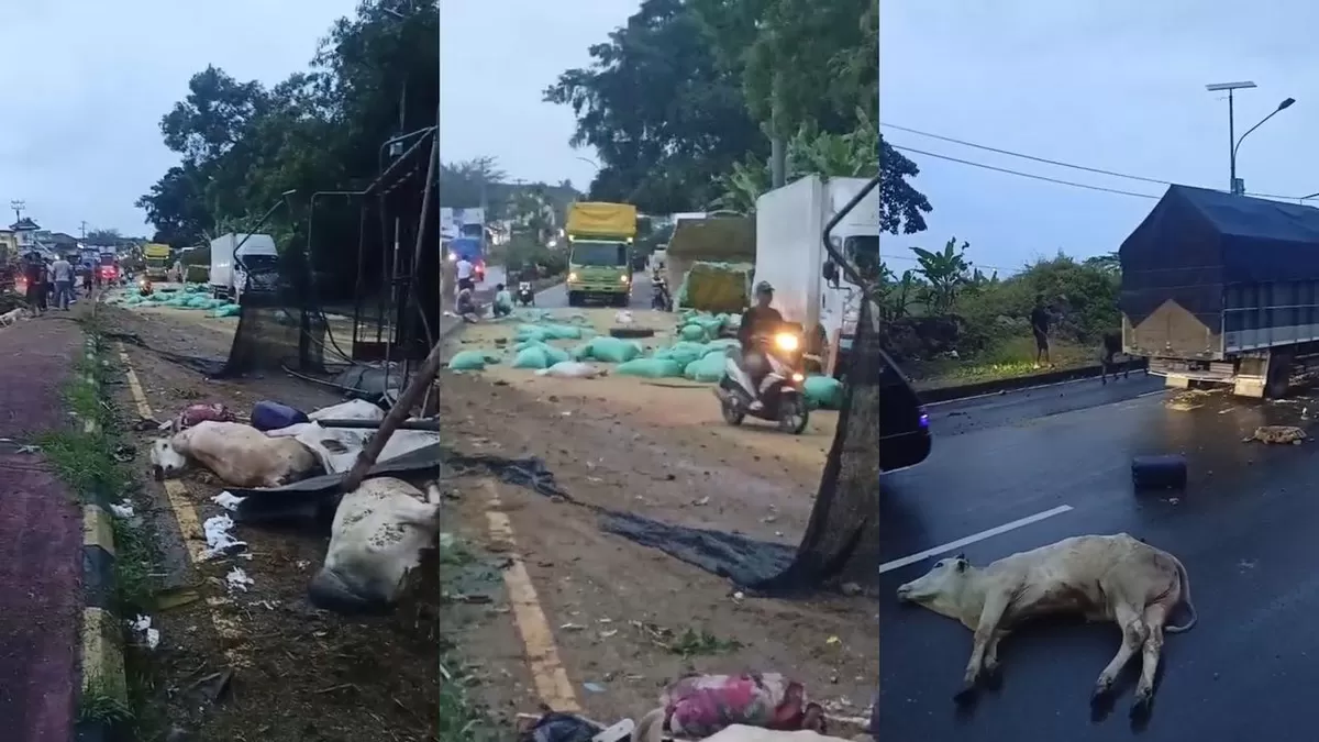 Tangkap Layar Video Netizen saat Terjadi Kecelakaan Beruntun di Jalinsum (Foto : ist)